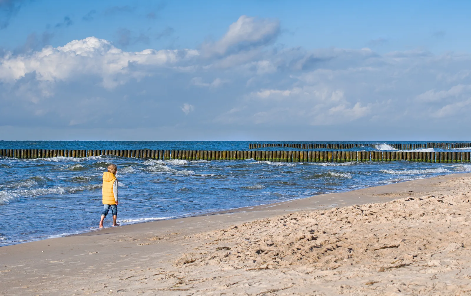 Plaża Pleśna
