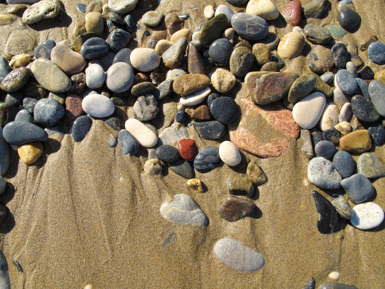 Plaża Kamienista